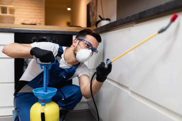 Best Local Pest Control Services  in Dilworth, MN