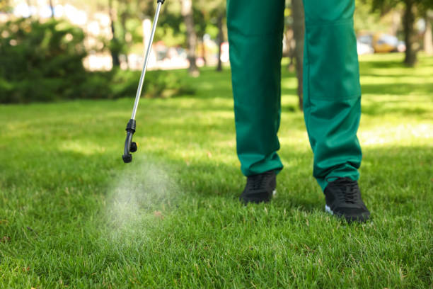 Best Pest Control for Homes  in Dilworth, MN