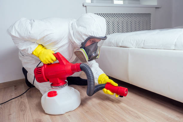 Best Flea Control Services  in Dilworth, MN