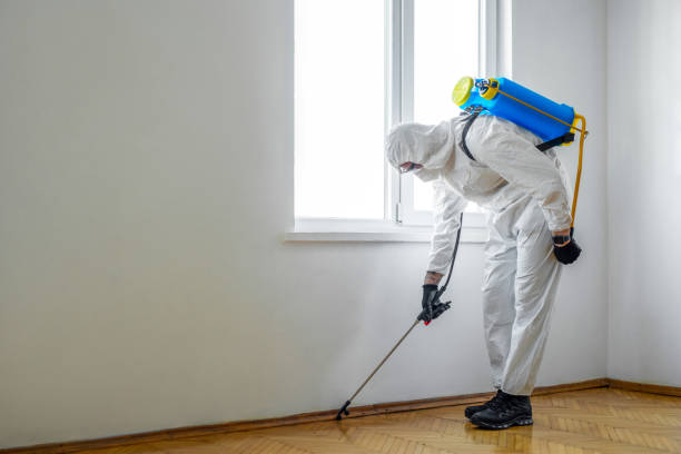 Best Wasp Removal Services  in Dilworth, MN