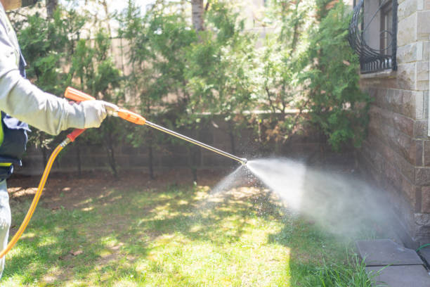 Best Best Pest Control Companies  in Dilworth, MN